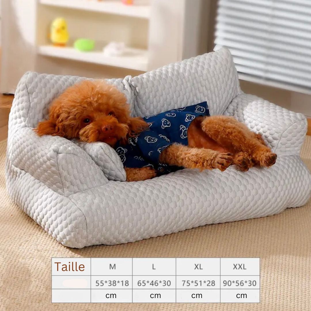 Canapé rafraîchissant pour chiens