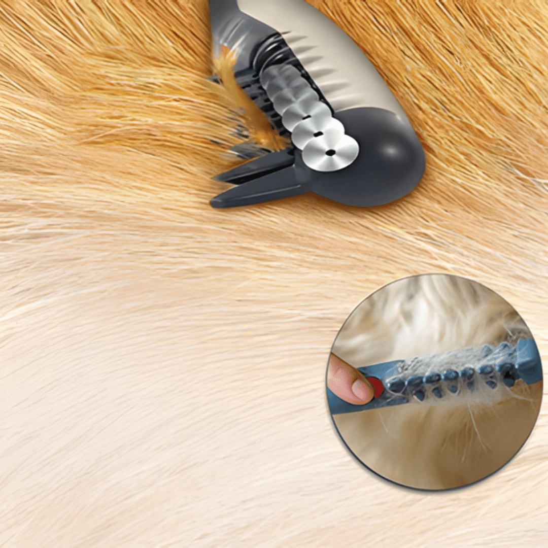 COATCALM – Tondeuse Douce pour le Pelage des Animaux, Tous les types de pelage