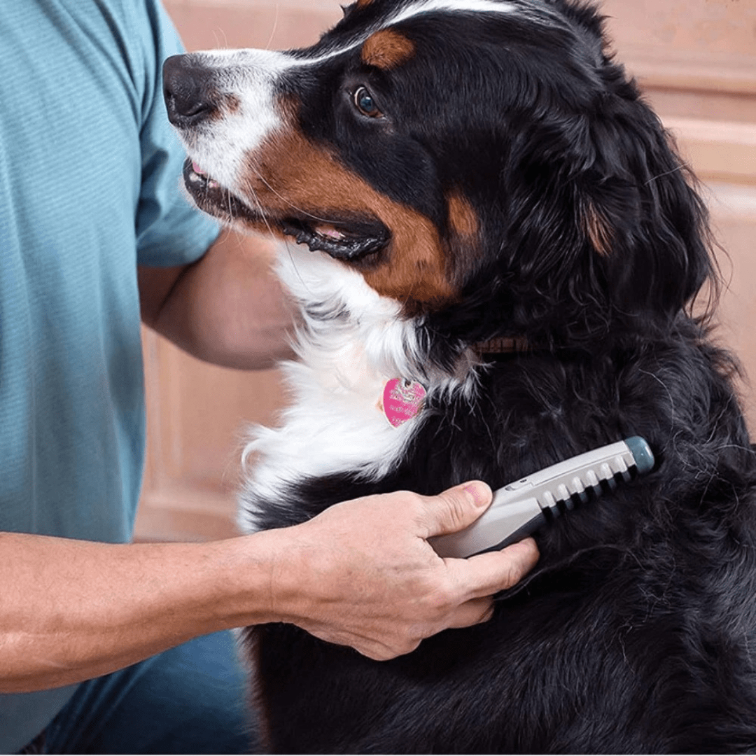 COATCALM – Tondeuse Douce pour le Pelage des Animaux, Tous les types de pelage
