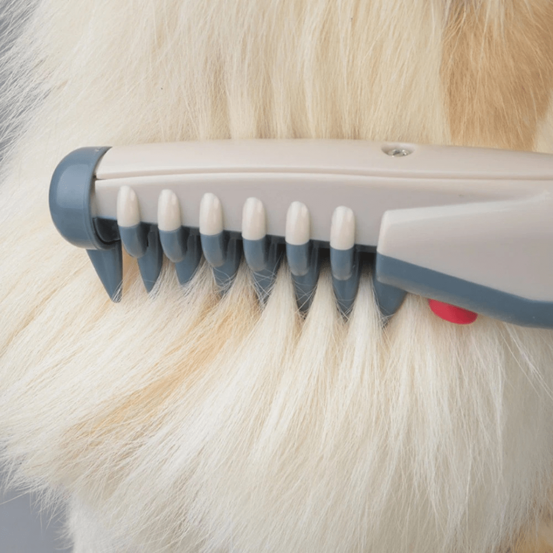 COATCALM – Tondeuse Douce pour le Pelage des Animaux, Tous les types de pelage