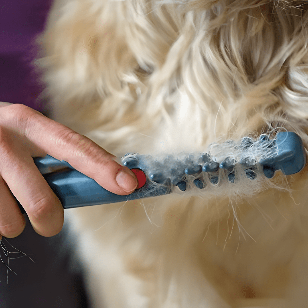 COATCALM – Tondeuse Douce pour le Pelage des Animaux, Tous les types de pelage