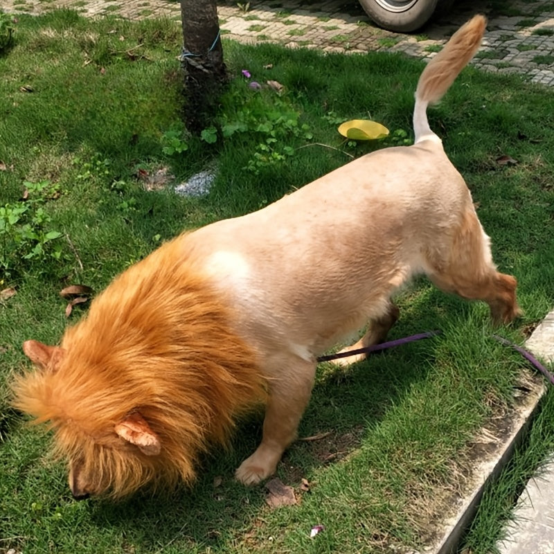 Costume d'Halloween réaliste pour chien avec crinière de lion | Léger réglable