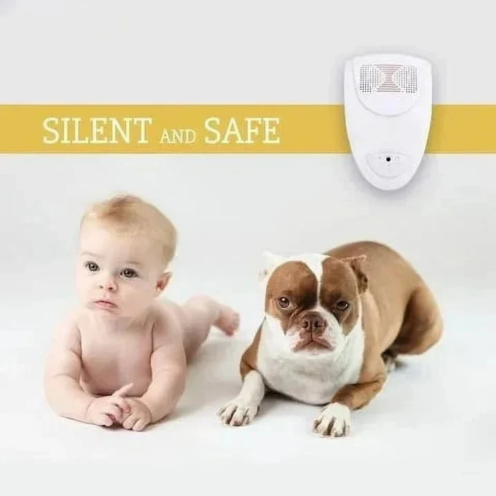 Répulseur ultrasonique contre les punaises de lit et les insectes, avec système silencieux