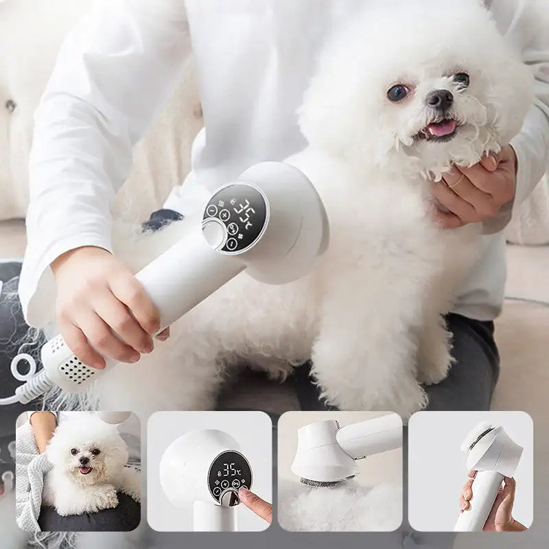 Sèche-cheveux intelligent 2 en 1 pour chien