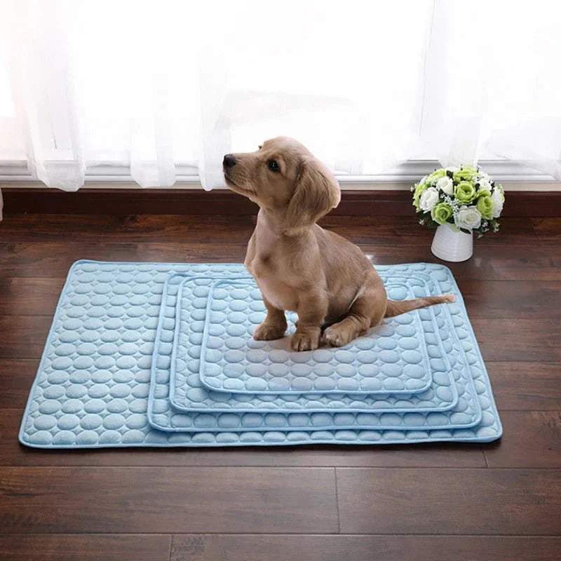 Tapis auto-refroidissant pour animaux de compagnie, confort instantané en été