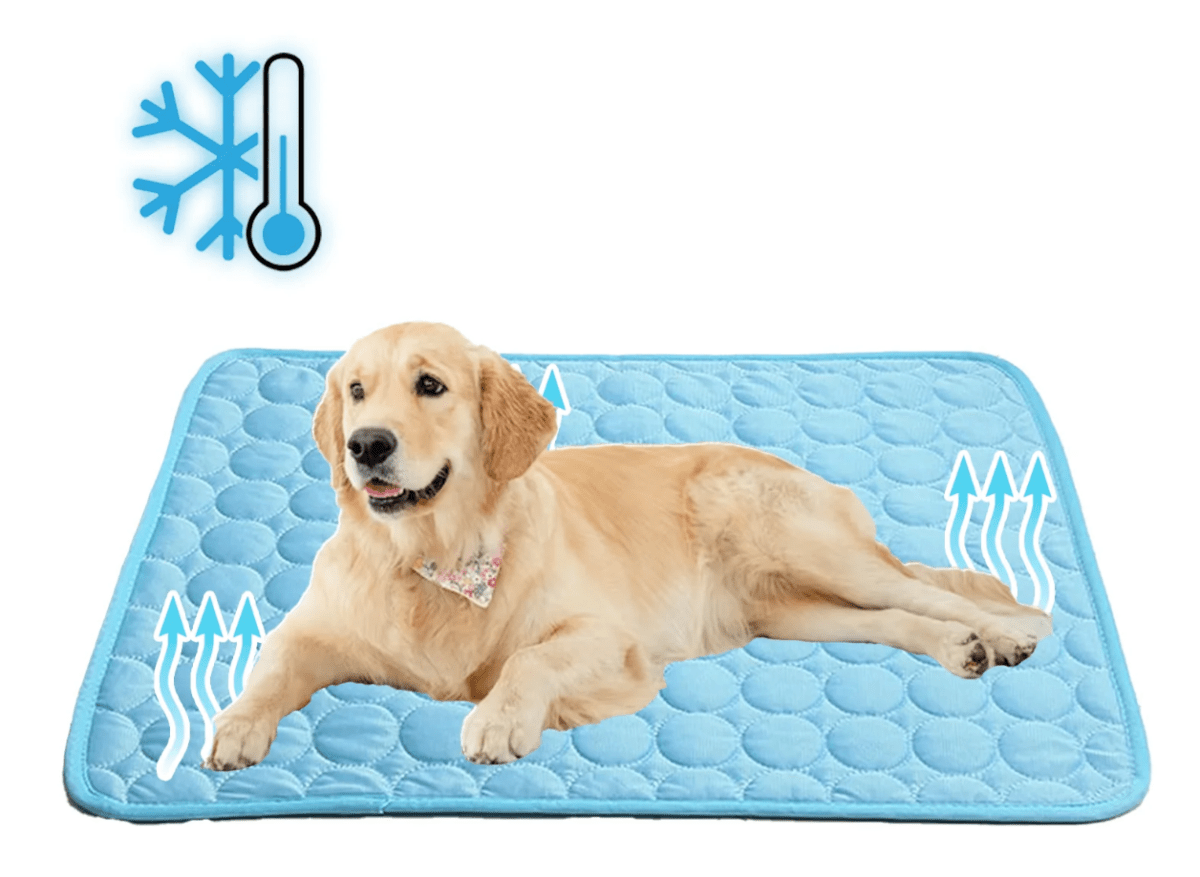 Tapis auto-refroidissant pour animaux de compagnie, confort instantané en été