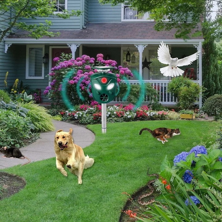 Répulsif solaire pour animaux à ultrasons avec couverture à 360 degrés