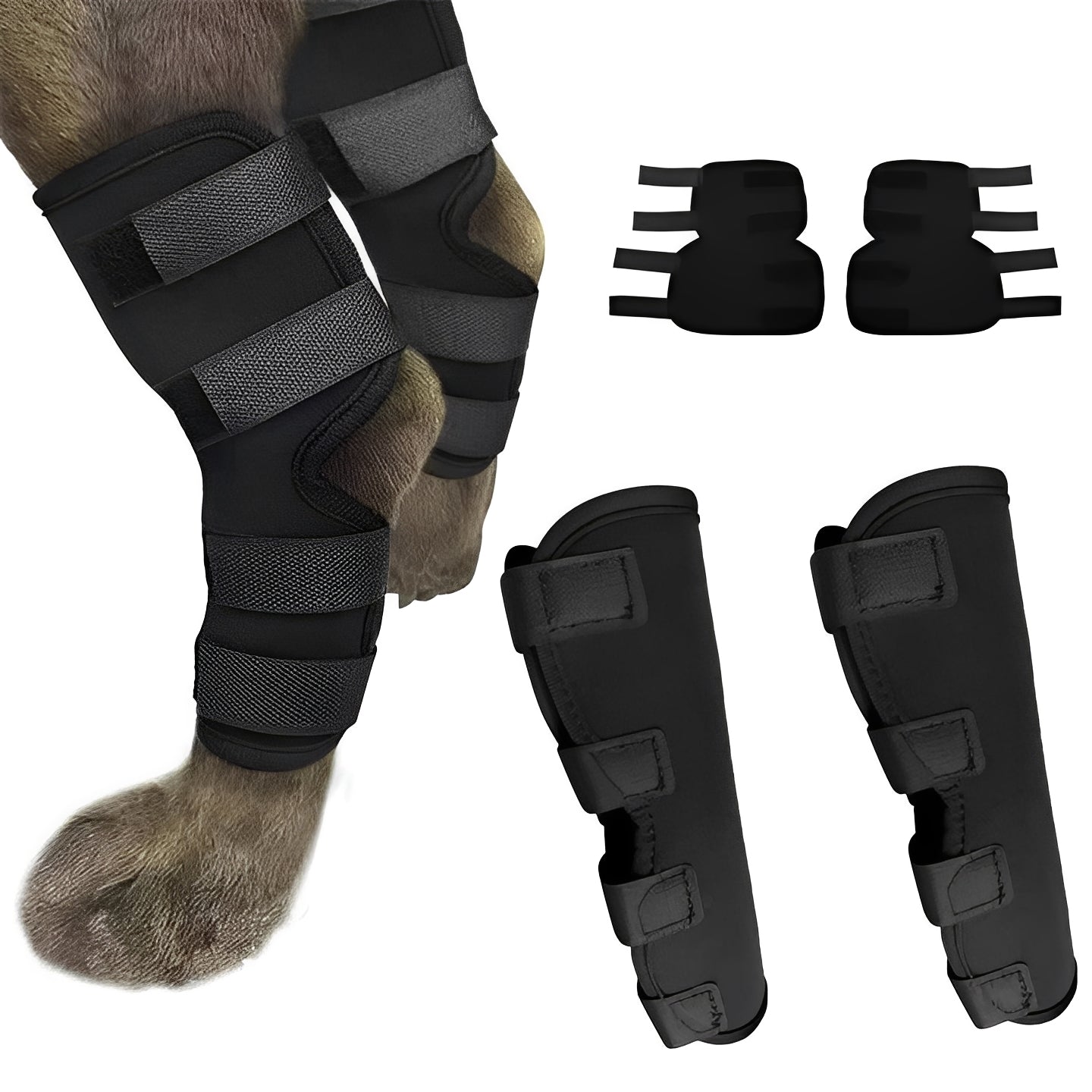 Attelle pour patte de chien à sangles réglables