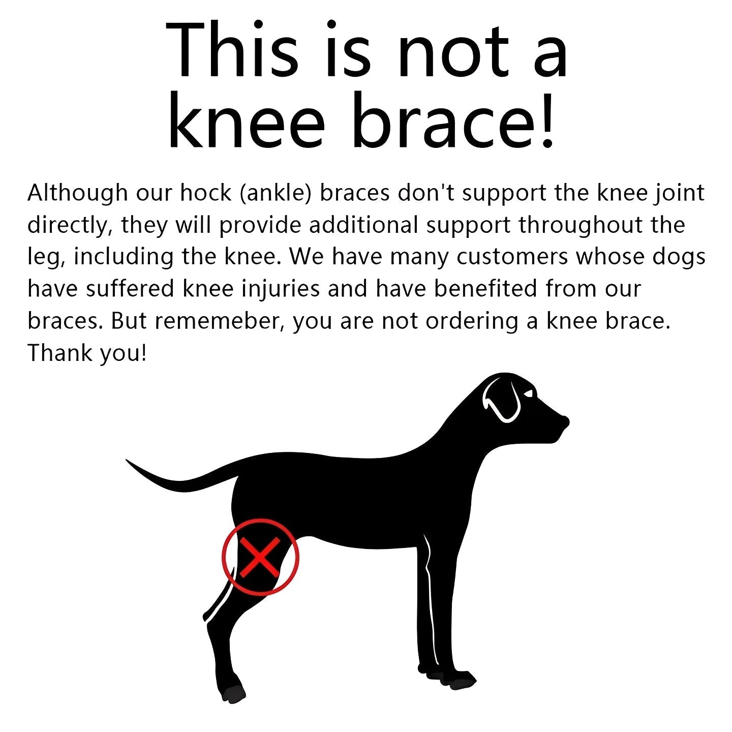 Attelle pour patte de chien à sangles réglables