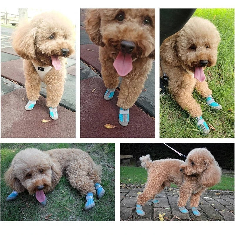 Bottes imperméables et respirantes pour pattes de chien, semelle antidérapante, usage en extérieur, lot de 4 pièces