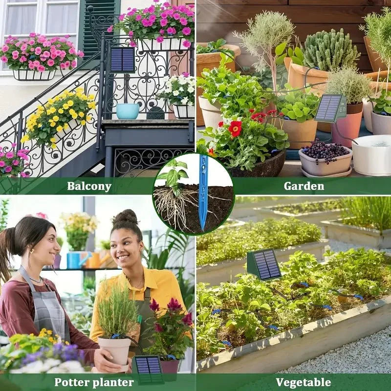 Irrigation goutte-à-goutte solaire intelligente pour petits jardins