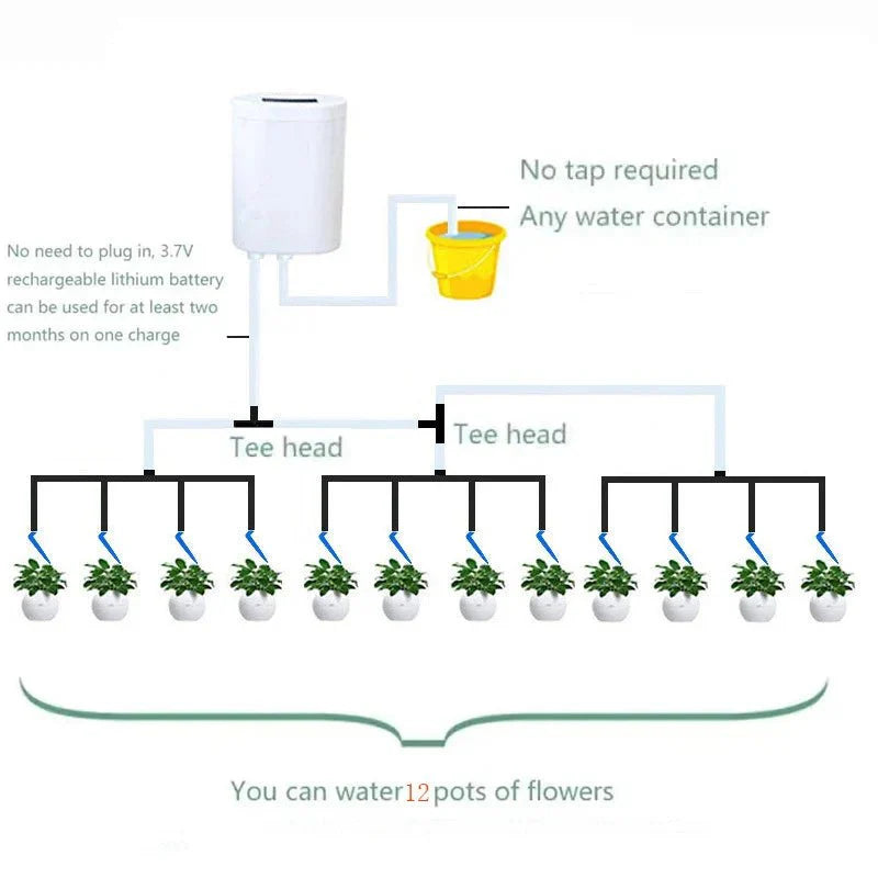 Arrosage automatique intelligent pour plantes d'intérieur