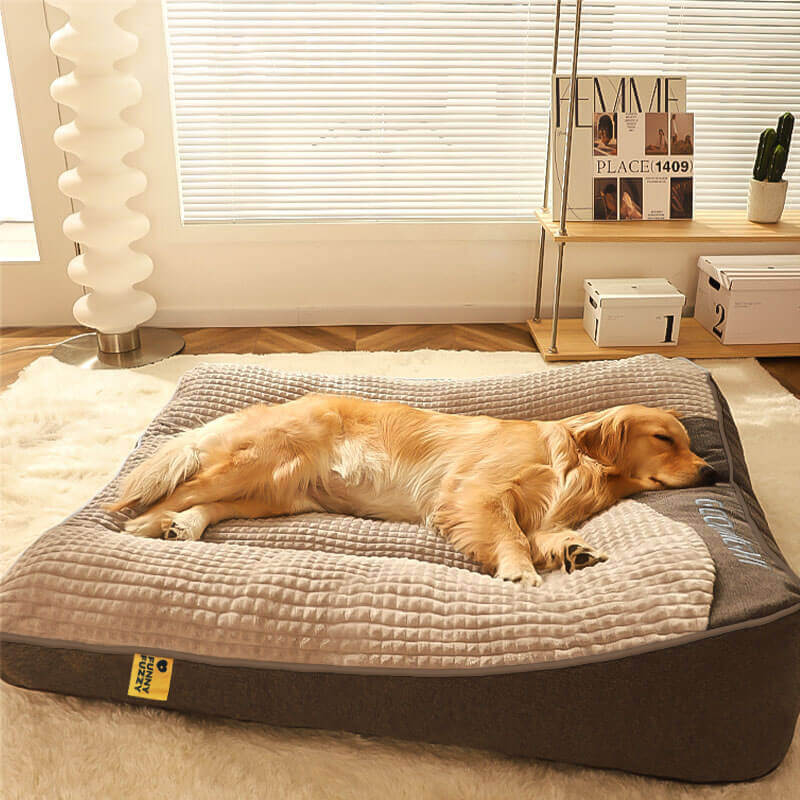 Lit de chien luxe en mousse à mémoire et coussin