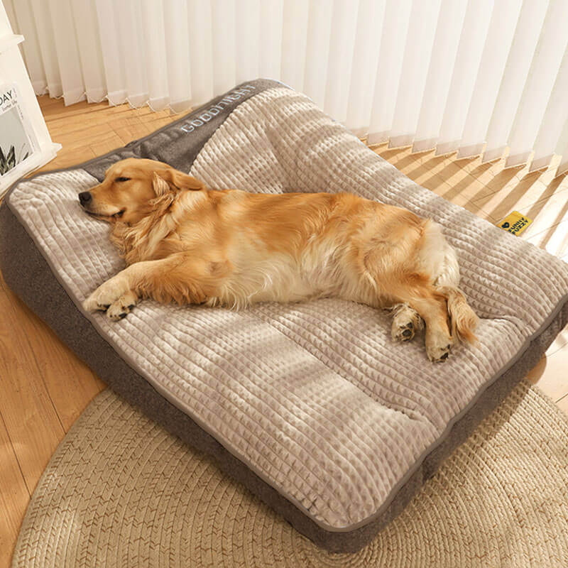 Vue de côté du coussin orthopédique pour chien