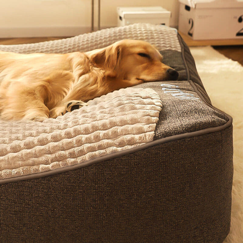 Détail de la texture en velours du lit pour chien