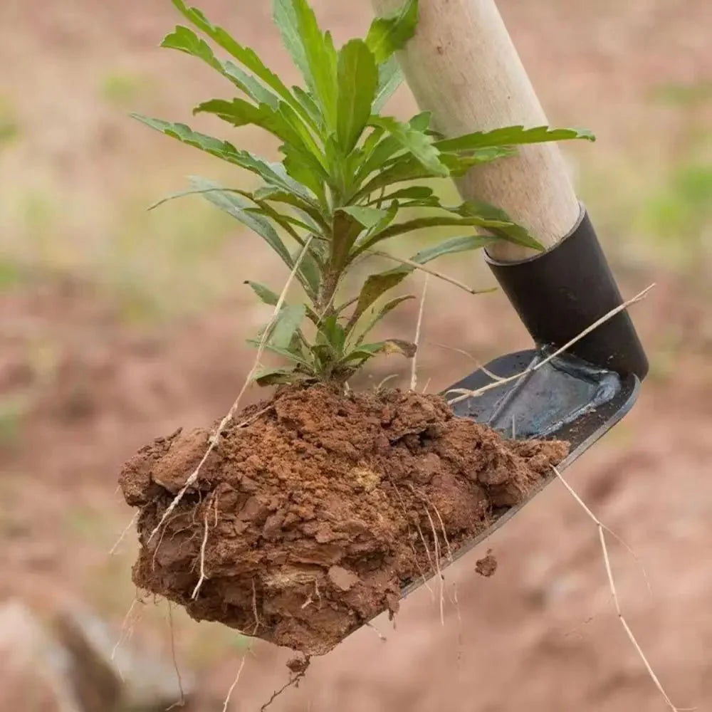 MANGRIP – Binette de jardin en acier pour le désherbage et le bêchage