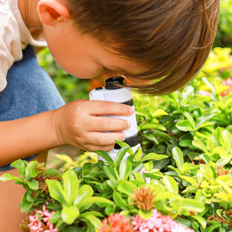 Microscope Enfant Micropoche™ – Éveillez la Curiosité des Petits Explorateurs