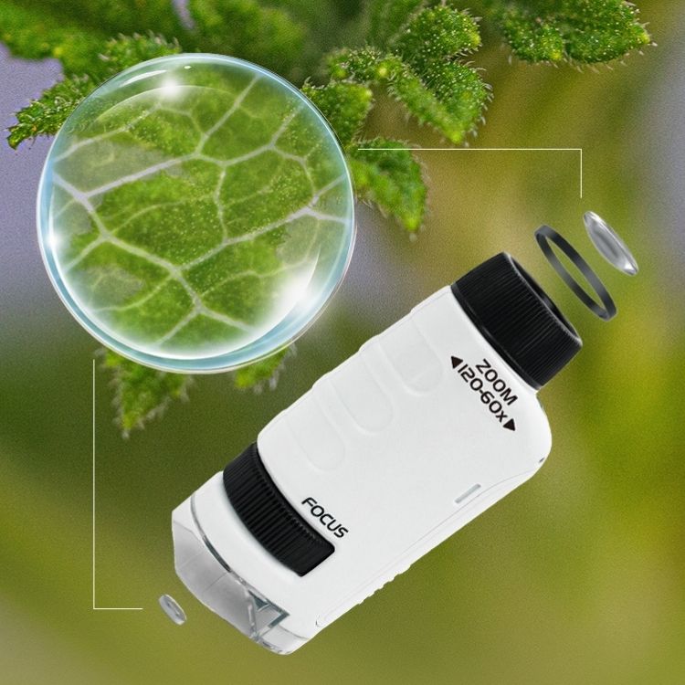 Microscope Enfant Micropoche™ – Éveillez la Curiosité des Petits Explorateurs