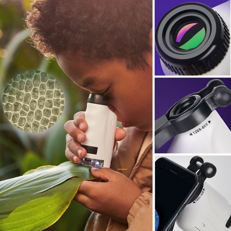 Microscope Enfant Micropoche™ – Éveillez la Curiosité des Petits Explorateurs