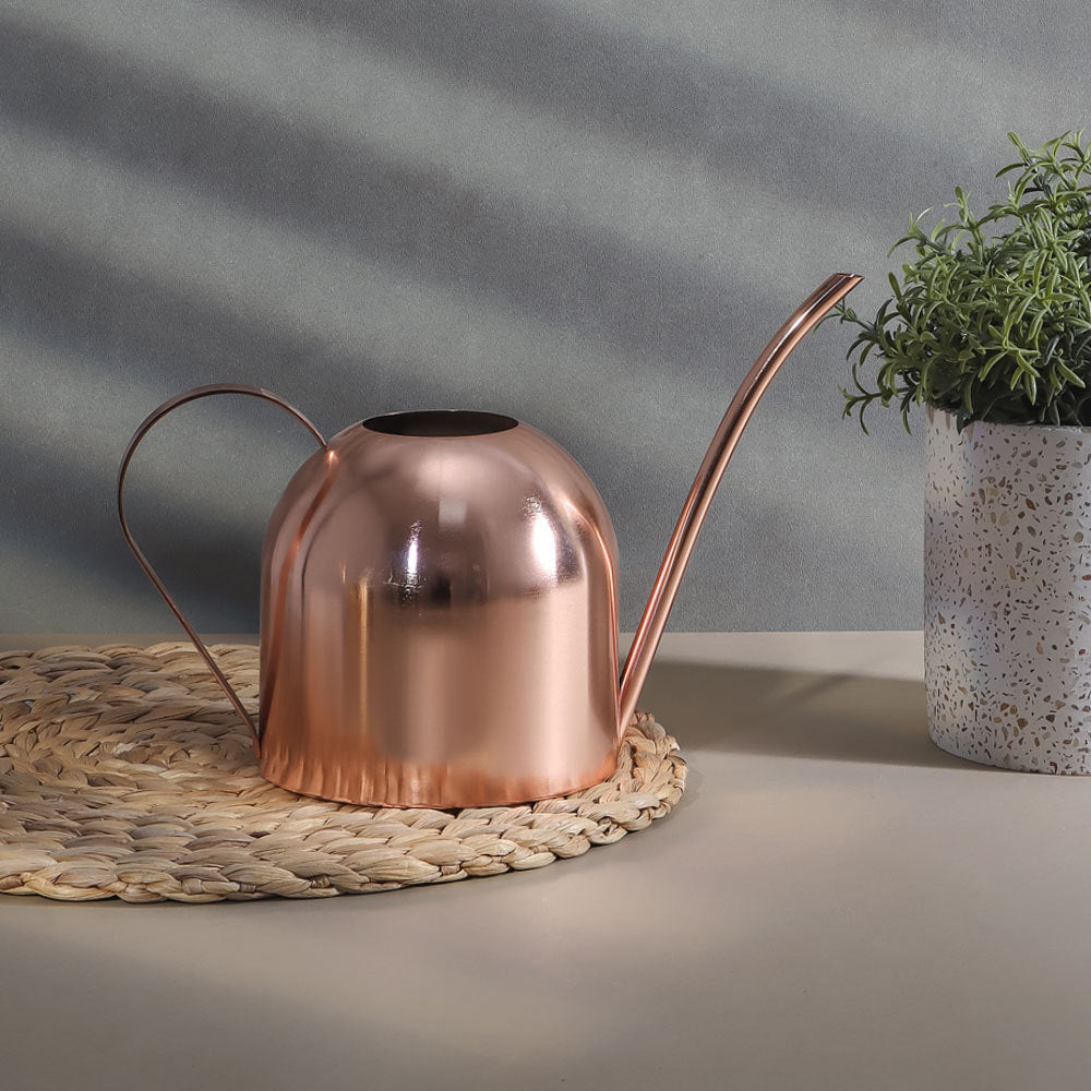 Arrosoir en cuivre premium
