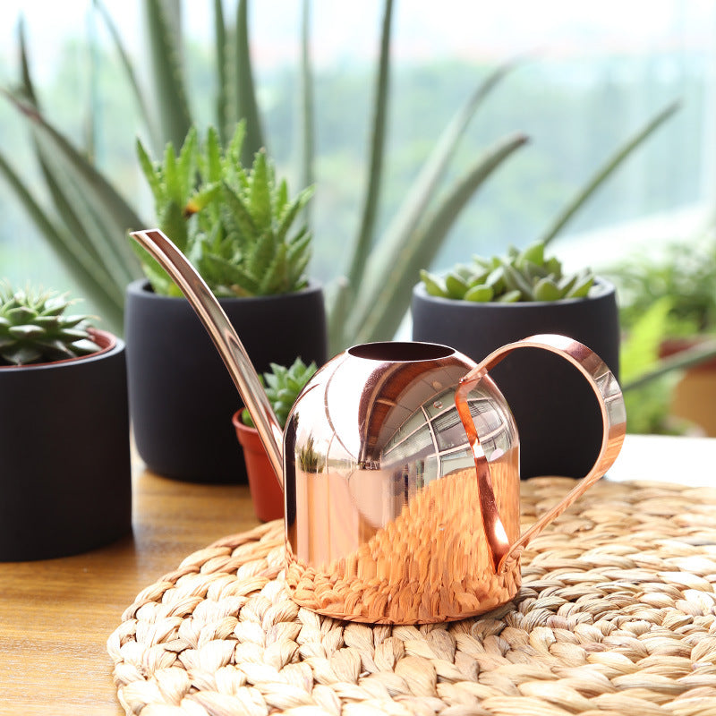 Arrosoir en cuivre premium