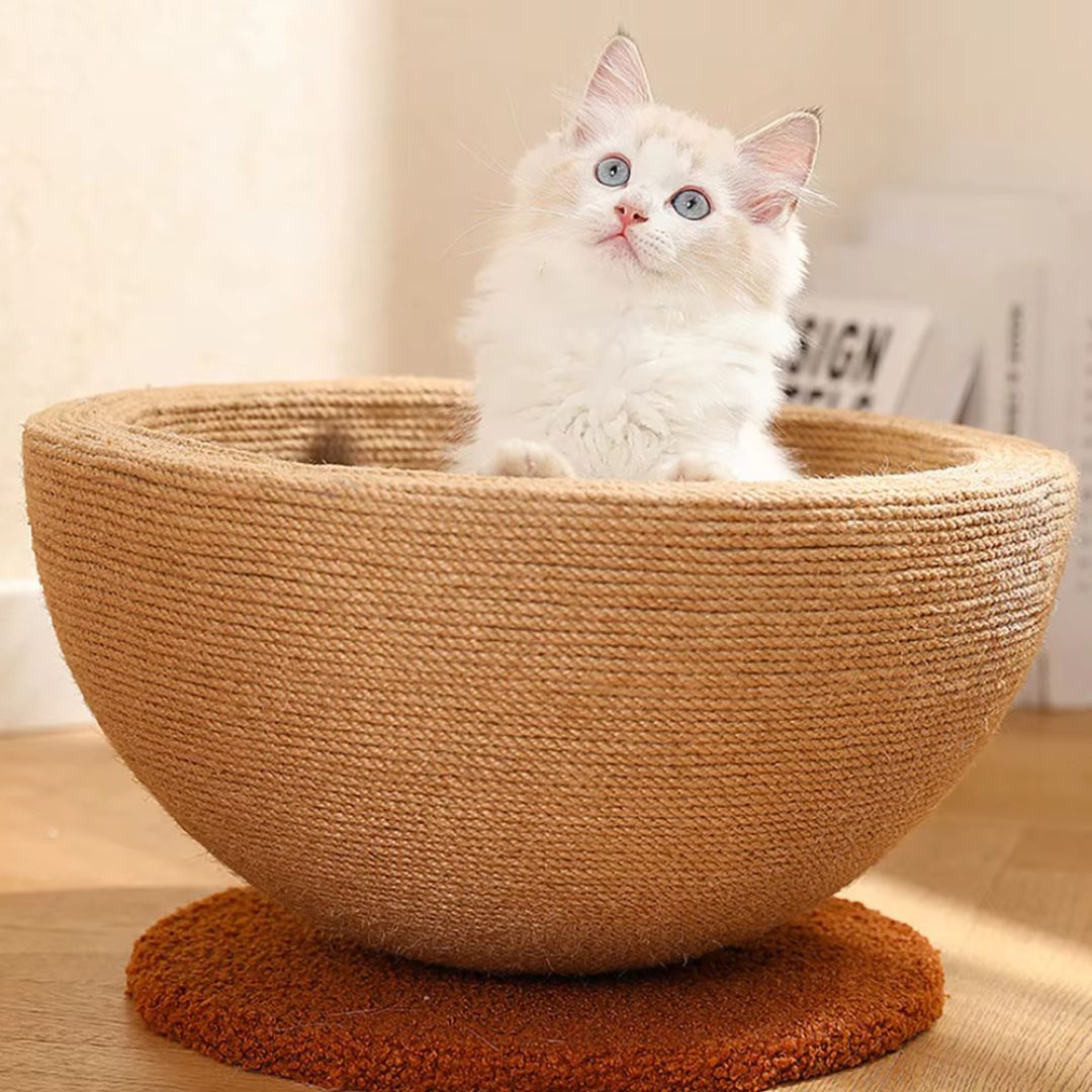 Balle de griffoir et couchage en sisal pour chat unisexe