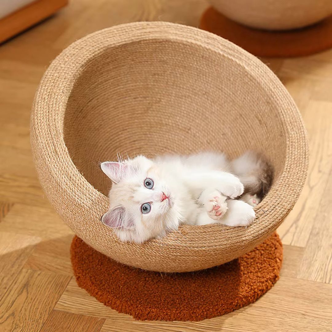 Balle de griffoir et couchage en sisal pour chat unisexe