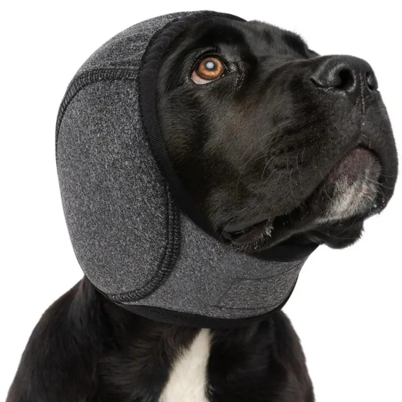 Cagoule pour chien avec polyester imperméable et atténuation du bruit, quatre tailles
