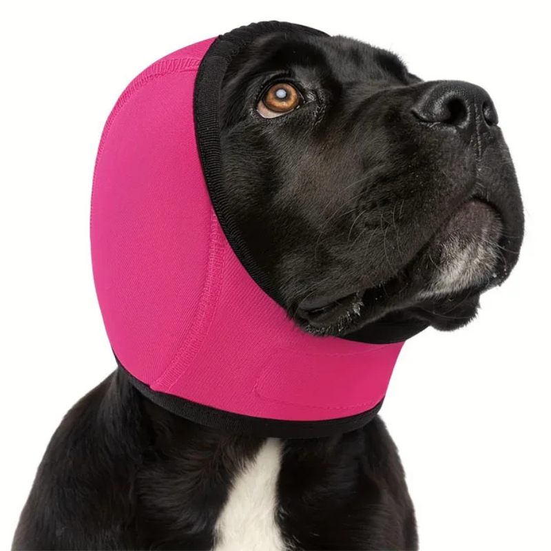 Cagoule pour chien avec polyester imperméable et atténuation du bruit, quatre tailles