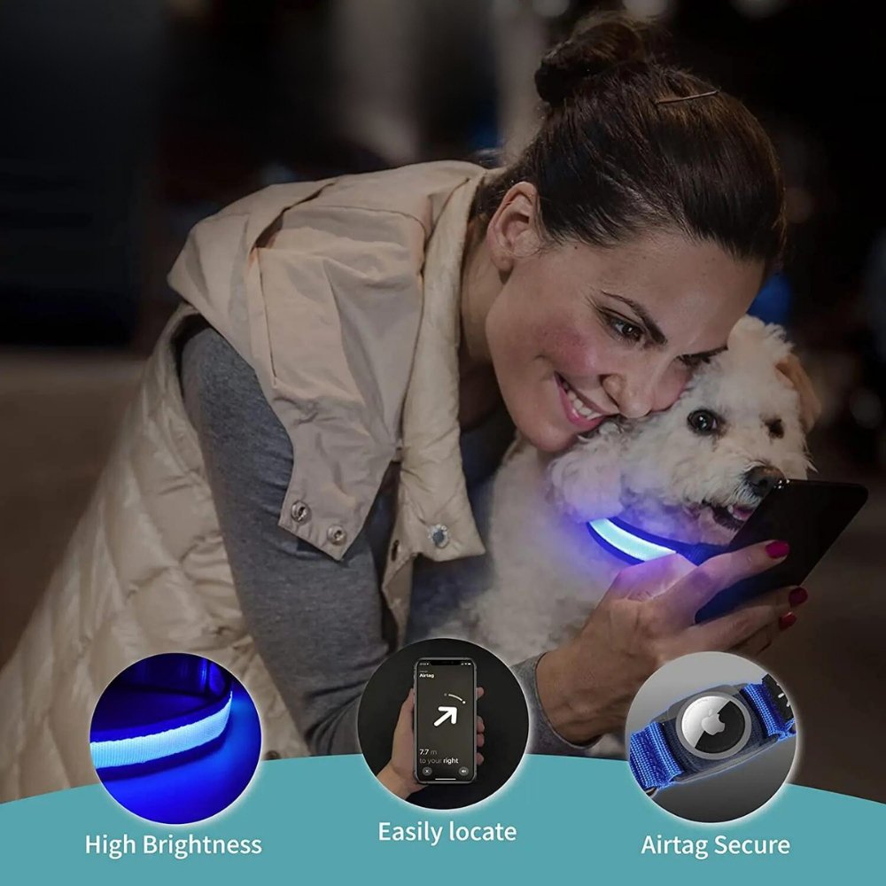 Collier lumineux pour chien avec porte-AirTag pour la sécurité de votre animal
