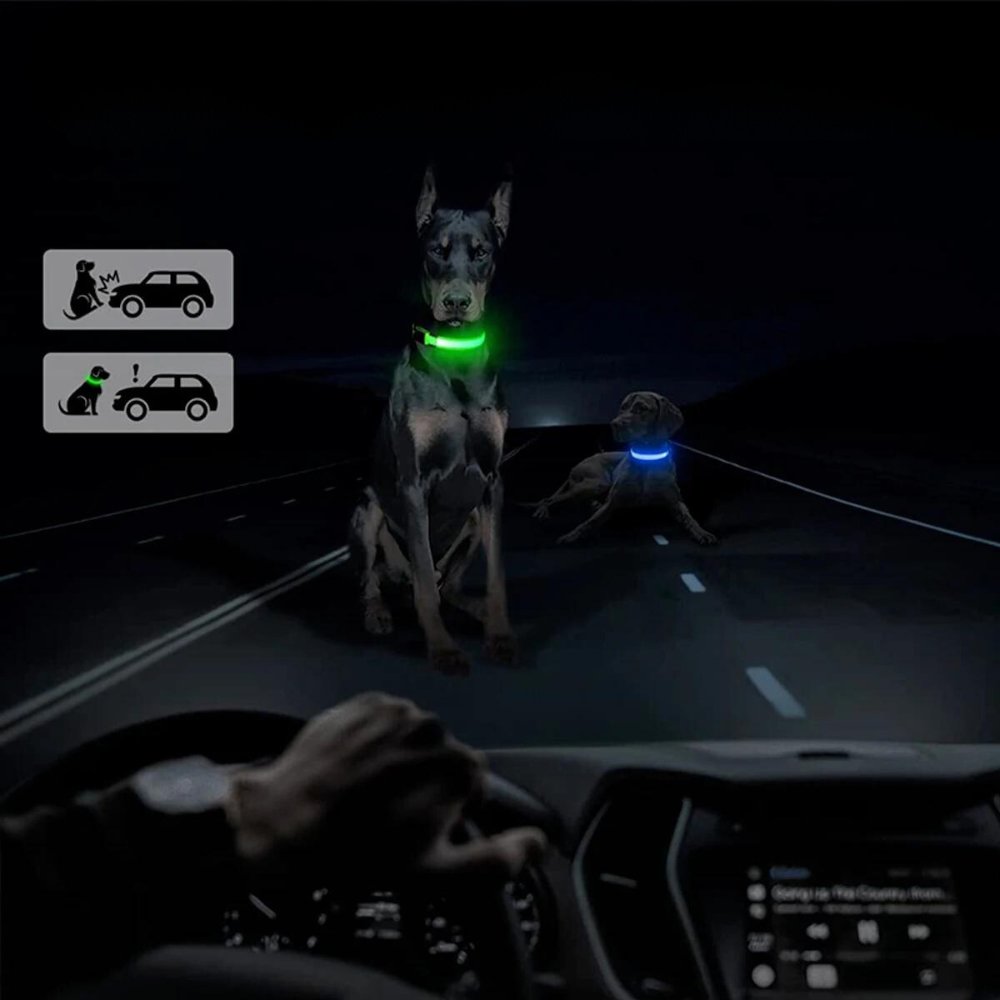 Collier lumineux pour chien avec porte-AirTag pour la sécurité de votre animal