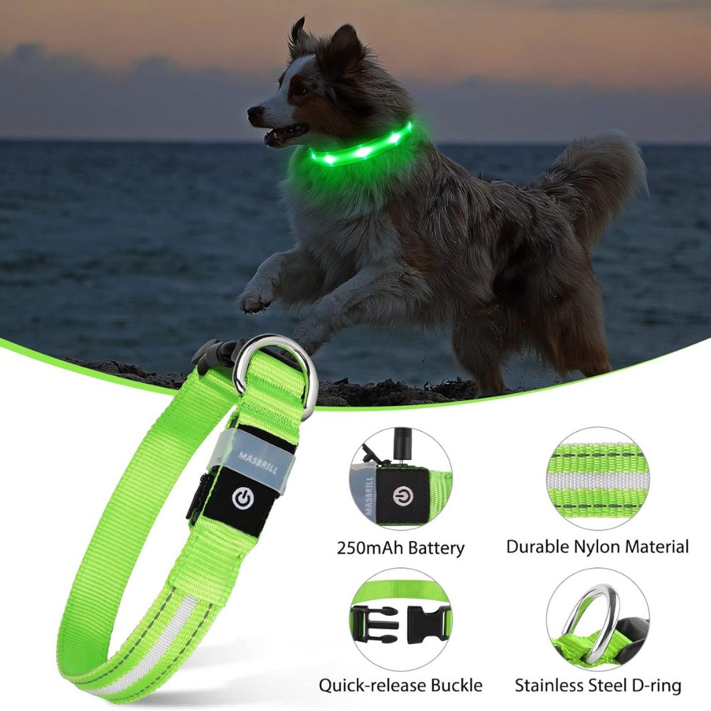 Collier lumineux pour chien avec porte-AirTag pour la sécurité de votre animal