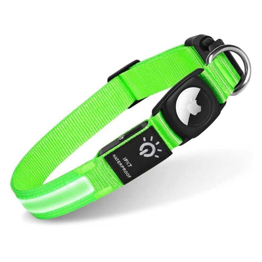 Collier lumineux pour chien avec porte-AirTag pour la sécurité de votre animal