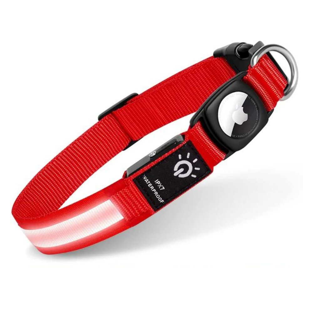Collier lumineux pour chien avec porte-AirTag pour la sécurité de votre animal