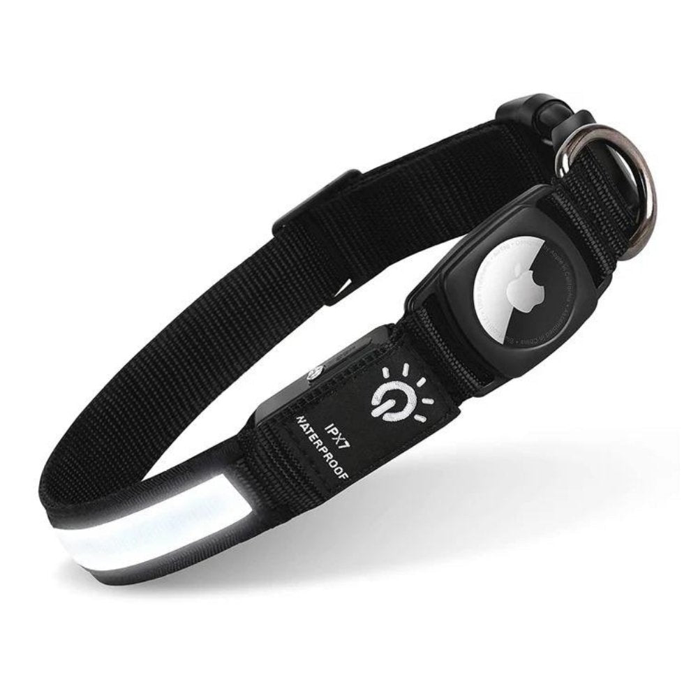 Collier lumineux pour chien avec porte-AirTag pour la sécurité de votre animal