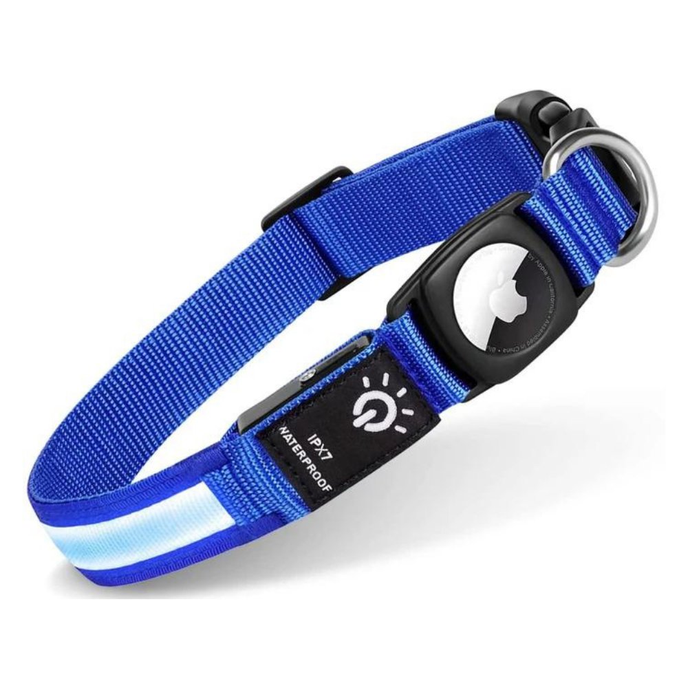 Collier lumineux pour chien avec porte-AirTag pour la sécurité de votre animal