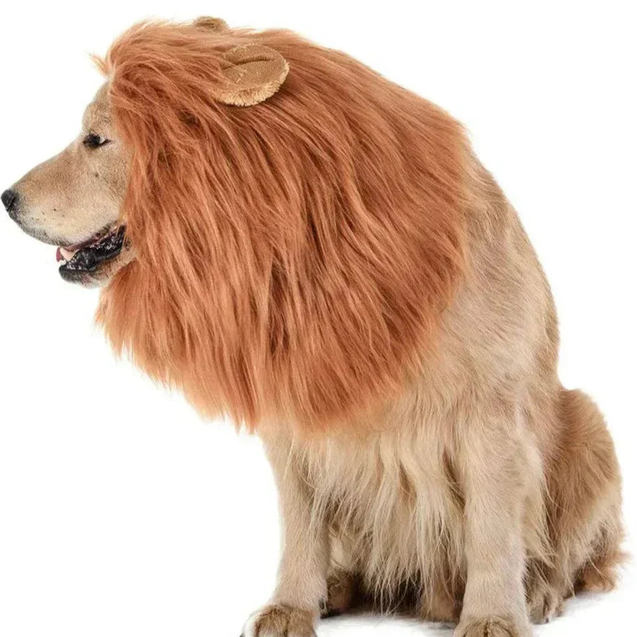 Costume crinière de lion pour chien pour Halloween, crinière en peluche avec oreilles pour chiens moyens et grands, tour