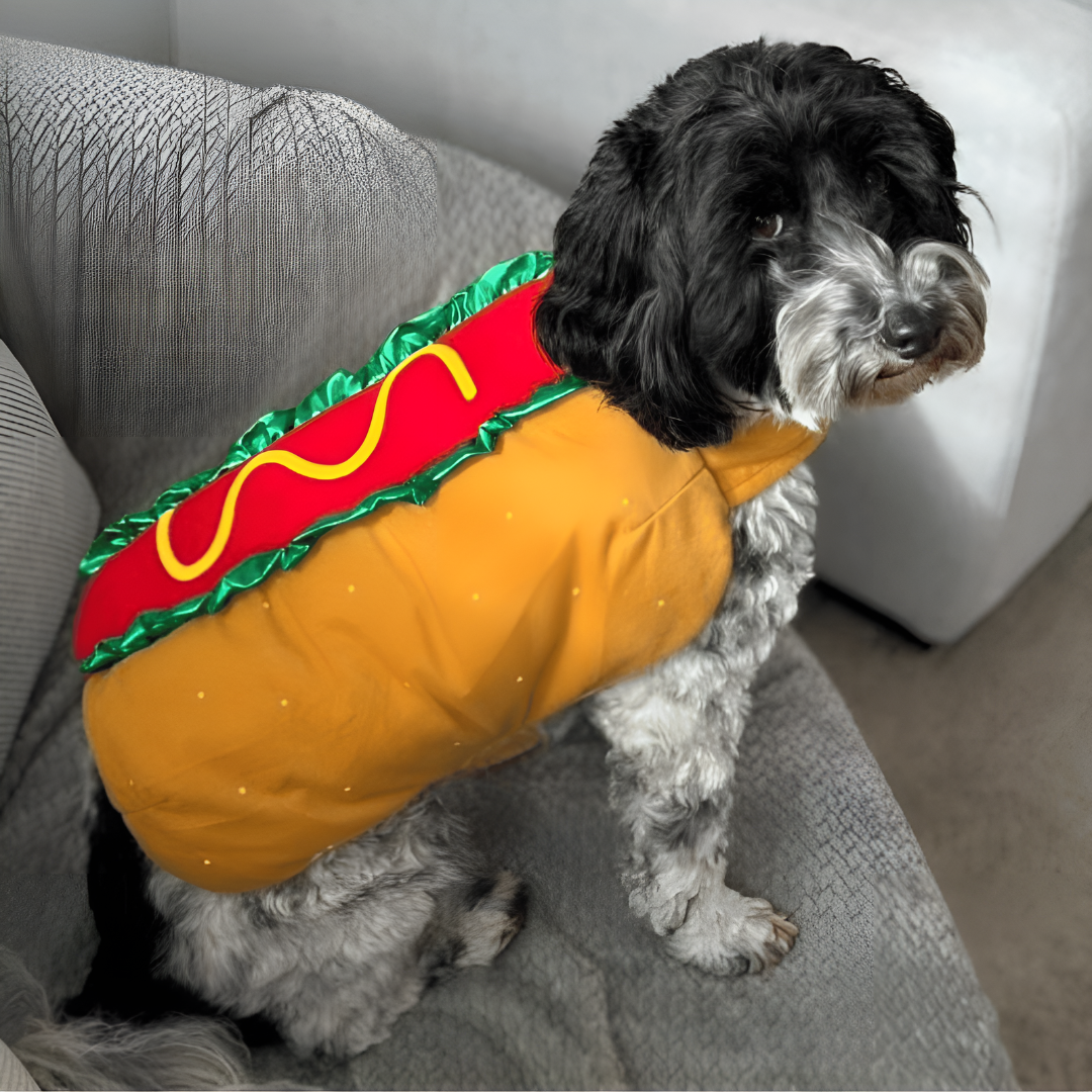 Costume hot dog pour chien, déguisement Halloween une pièce avec sangles ajustables à scratch, tailles XS à 2XL