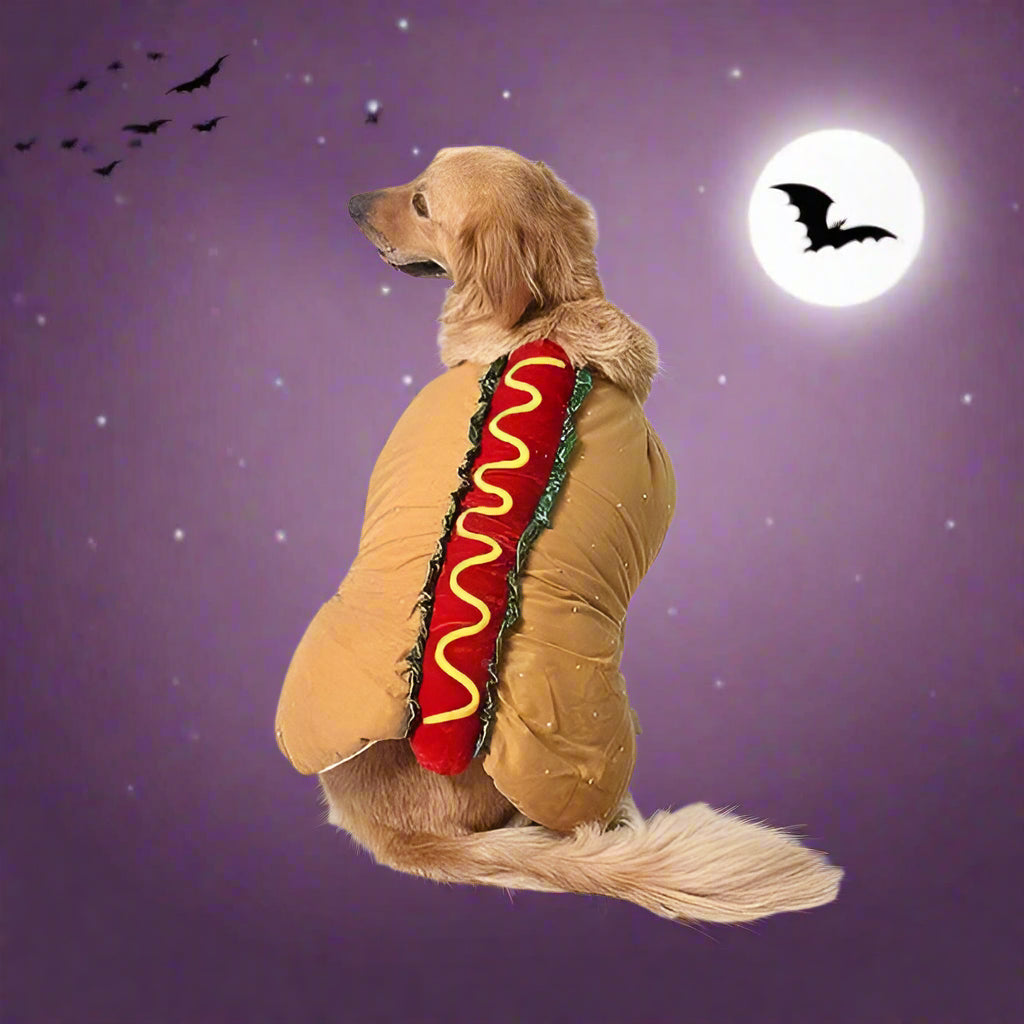 Costume hot dog pour chien, déguisement Halloween une pièce avec sangles ajustables à scratch, tailles XS à 2XL