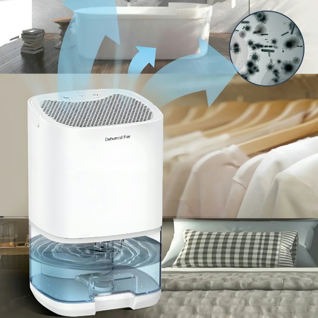 Déshumidificateur portable pour cave, vide sanitaire et petite chambre avec réservoir transparent