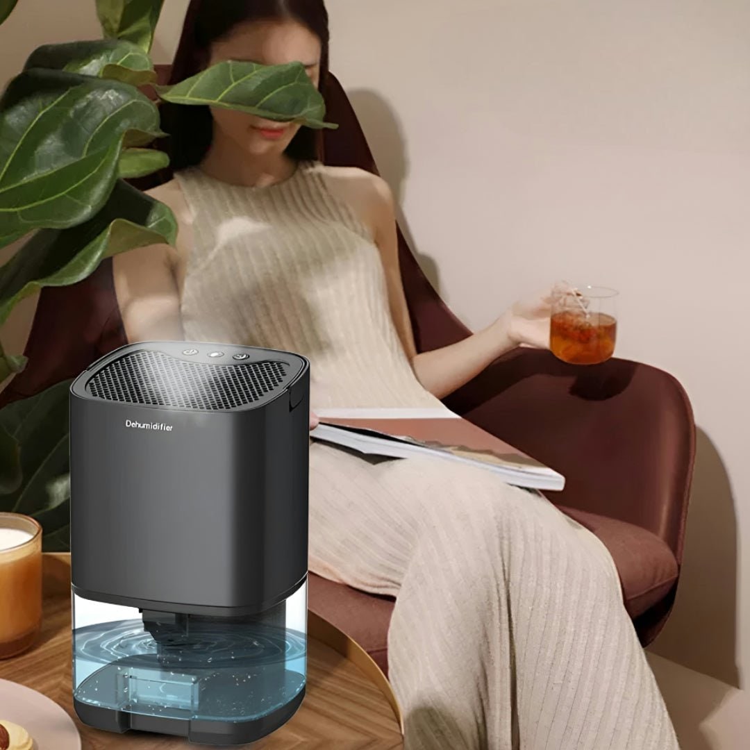 Déshumidificateur portable pour cave, vide sanitaire et petite chambre avec réservoir transparent