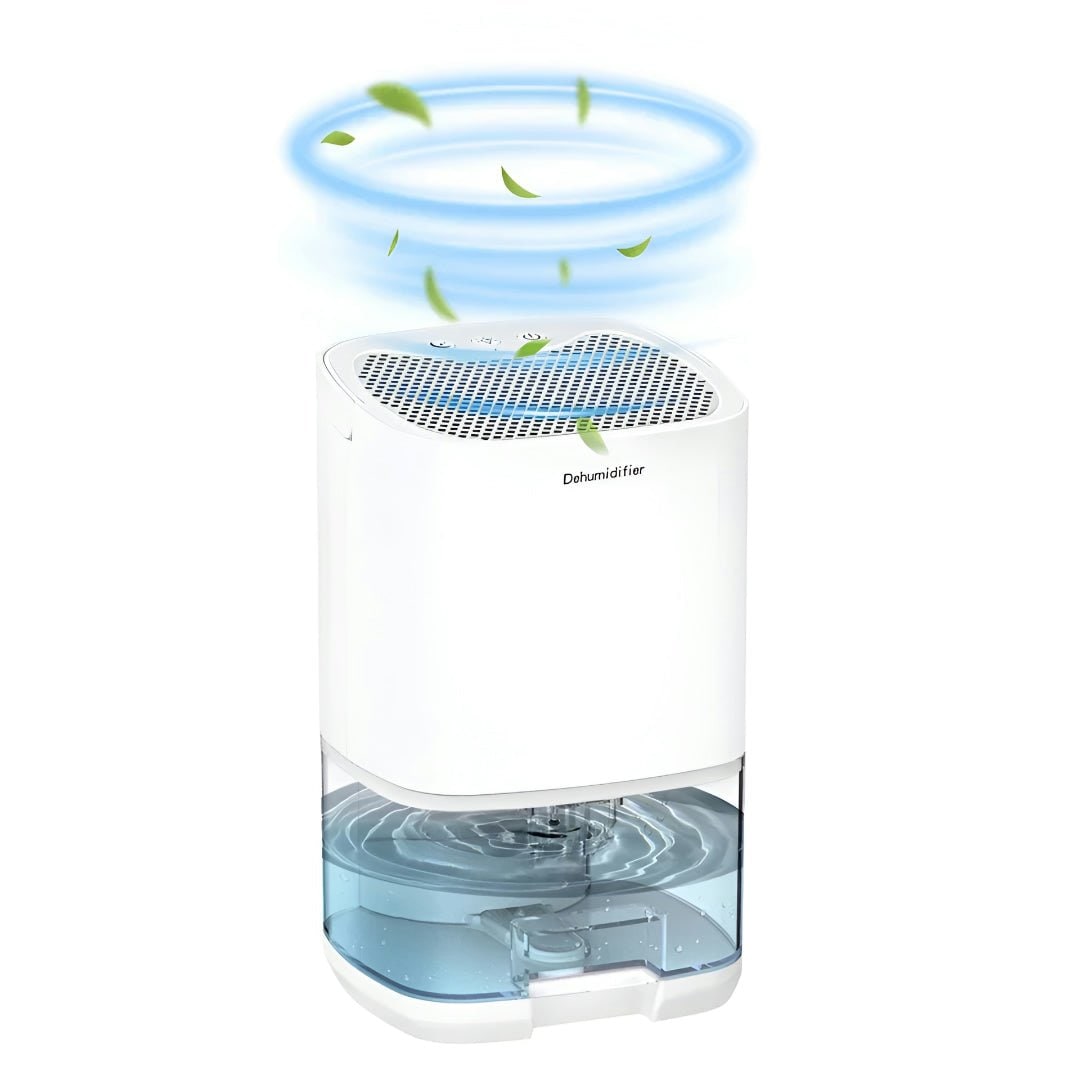 Déshumidificateur portable pour cave, vide sanitaire et petite chambre avec réservoir transparent