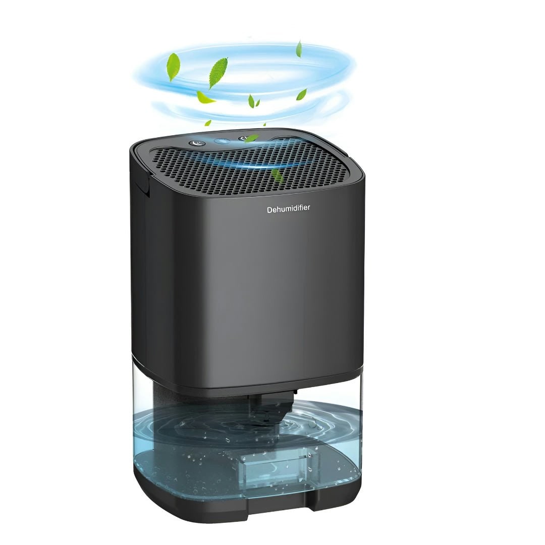 Déshumidificateur portable pour cave, vide sanitaire et petite chambre avec réservoir transparent