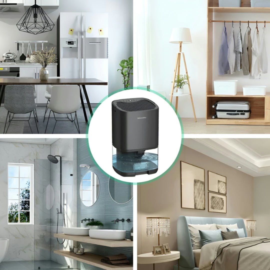Déshumidificateur portable pour cave, vide sanitaire et petite chambre avec réservoir transparent