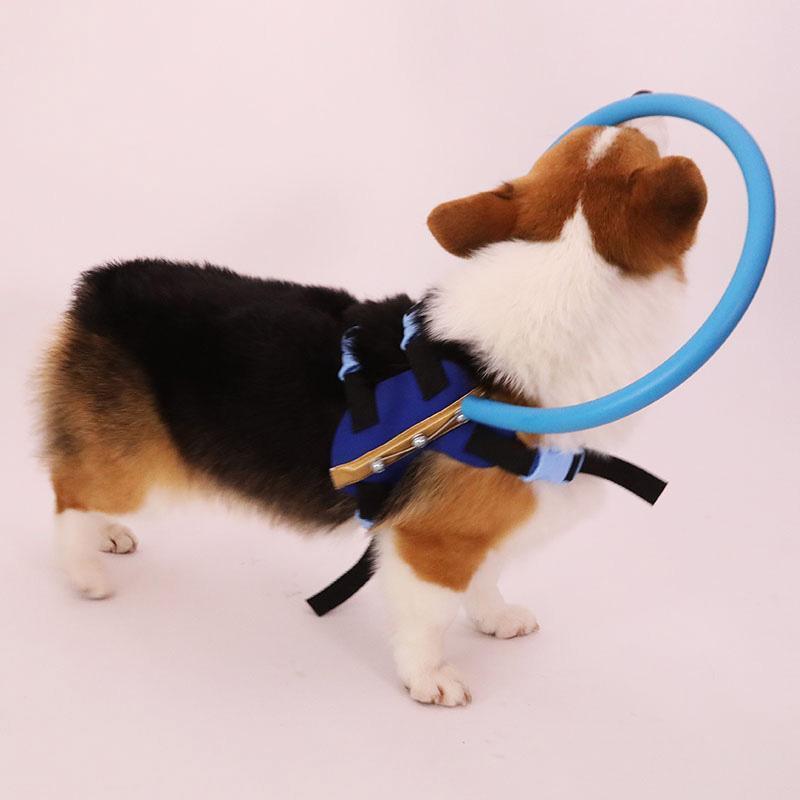 Harnais avec collier pare-chocs pour chiens aveugles