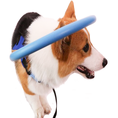 Harnais avec collier pare-chocs pour chiens aveugles