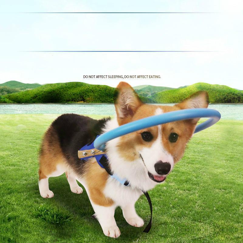 Harnais avec collier pare-chocs pour chiens aveugles