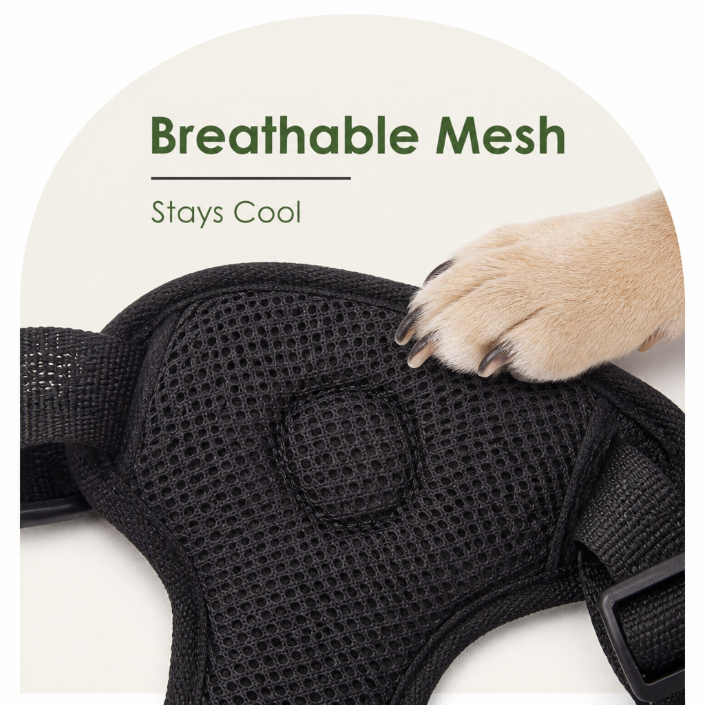Harnais de sécurité voiture pour chien en mesh respirant ajustable