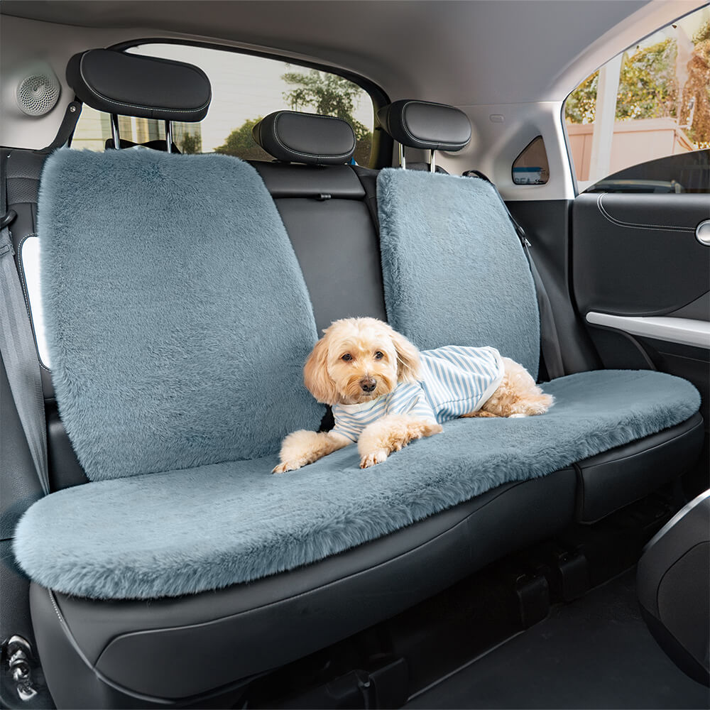 Housse de siège auto universelle en peluche pour animaux et propriétaires