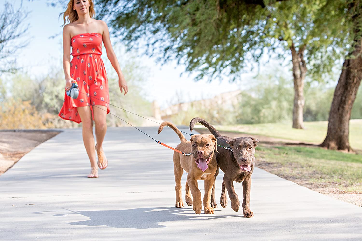 Laisse double pour chiens – Laisse double pour 2 chiens avec pivot à 360°, sans enchevêtrement, réfléchissante – WalkMat